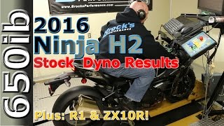 2016 ZX10R Ninja H2 2015 R1  Dyno ShootOut  Brocks Performance [upl. by Margie]