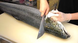 How To Fillet a Whole Salmon  Sashimi amp Sushi Taiwanese street food [upl. by Newcomb256]