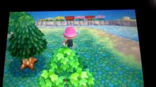 lets play ACNL 38  y a du monde dans mon camping [upl. by Aesoh]