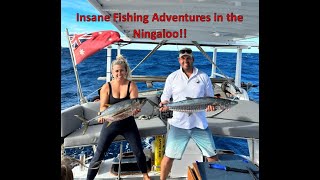 Ningaloo fishing gone mad [upl. by Ennaeiluj]