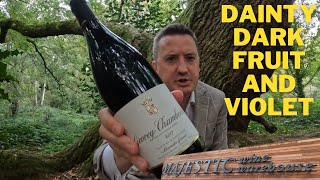 Alexandre Gauvin Gevrey Chambertin 2017 from Majestic Wine [upl. by Maxwell884]