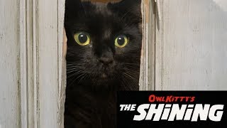 The Shining  My cat HD [upl. by Anoyek]