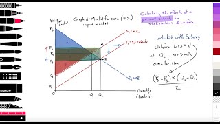 27 Micro Calculating the effects of a per unit subsidy on stakeholders amp welfare IB Econ [upl. by Lladnew]