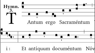 Tantum Ergo Sacramentum  Gregorian Chant [upl. by Tobit]