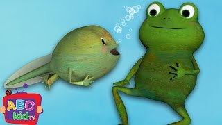 Frog Song Life Cycle of a Frog  CoCoMelon Nursery Rhymes amp Kids Songs [upl. by Admana]