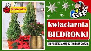 BIEDRONKA  Oferta od Poniedziałku 19122022  Kwiaciarnia Biedronki [upl. by Neelyk692]