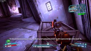 Borderlands 2 ECHO Recordings  The Fridge Rakkman [upl. by Anerbas]