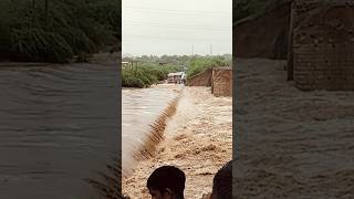 youtube flood trendingshorts gujaratflood viral [upl. by Elletnwahs]