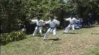 Heian Nidan  Revolutionary style [upl. by Leticia765]