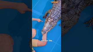 How To Escape An Alligator Death Roll 😨shorts [upl. by Garihc]