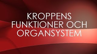 Kroppen  Hjernen [upl. by Hildie]