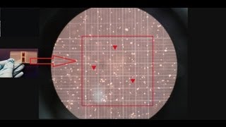 Hemocytometer  Counting of cells  Amrita University [upl. by Glynis]