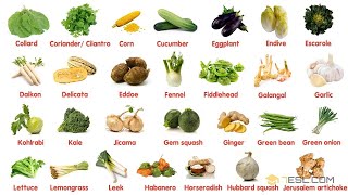 100 Most Popular Vegetables in The World  Learn Names of Different Types of Vegetables in English [upl. by Maximilian875]