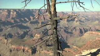 Mount St Helens Explains Grand Canyon [upl. by Hitt]