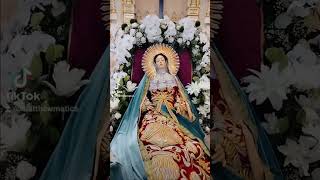 TRANSITUS MARIAE 2024 🩵🙏😇 dormicion transitusmariae asuncion assumption virginmary catholic [upl. by Lovell]