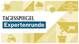 Tagesspiegel Expertenrunde „Zu Tisch für… nachhaltige Landwirtschaft“ [upl. by Eynenihc550]