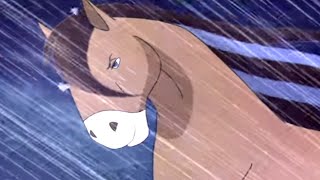 Horseland  Through the Storm  Season 1  Horse Cartoon  Videos For Kids [upl. by Hooper]