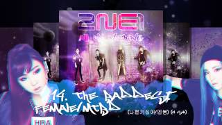 AON 14The Baddest FemaleMTBD 나쁜기집애멘붕  2NE1 2NE1 World Tour Live  All Or Nothing In Seoul [upl. by Elleirad]