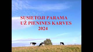 Susietoji parama už pienines karves 2024 [upl. by Milli]