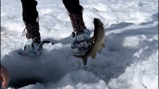 Maine Ice Fishing SCHOODIC Lake [upl. by Ajnek]