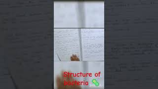 structure of bacteria 🦠🧫 microbiology notes [upl. by Nahtannoj]