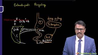 Pharmacokinetics Drug Excretion  Pharmacology lecture 4 [upl. by Cassiani576]