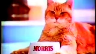 9Lives Cat Food Commercial Morris The Cat 1977 [upl. by Clayson]