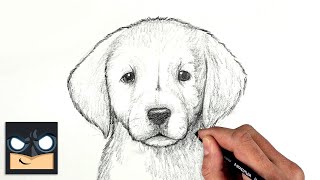 How To Draw a DOG  GOLDEN LAB PUPPY  Sketch Saturday [upl. by Murrah2]