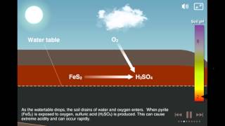 Coastal Acid Sulfate Soils [upl. by Alwin]