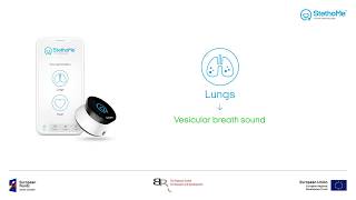 Lungs auscultation  vesicular breath sound 4 [upl. by Fawna635]