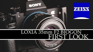 Zeiss Loxia 35mm F2 Biogon First Look  4K [upl. by Atnuhs249]