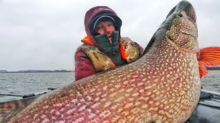 Я НЕ ВЕРЮ В ЭТО ПЕРВЫЙ ЛЁД НЕ НУЖЕН САМЫЕ БОЛЬШИЕ ЩУКОМОНСТРЫ ЖИЗНИ 15 13 кг и БОЛЕЕ [upl. by Thgirw]