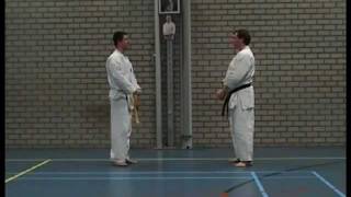 Pinan Shodan and Bunkai Shito ryu [upl. by Irrab]