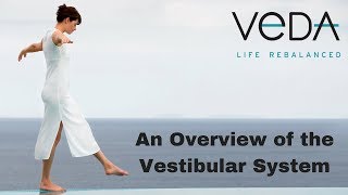 An Overview of the Vestibular System [upl. by Booma411]