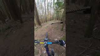 Oldschool trails are insane [upl. by Bleier465]