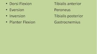 Localization in Nervous System By Dr Syed Arif Ali Jaffery [upl. by Noiz]