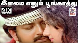 Ilamai Enum Song இசைஞானி இசையில் SPB பாடிய பாடல் இளமை எனும் பூங்காற்று [upl. by Alameda]