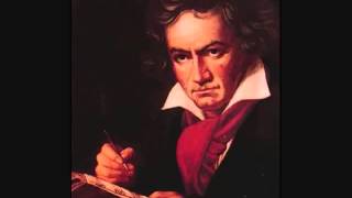 9 Sinfonie  Beethoven [upl. by Olegnaleahcim]