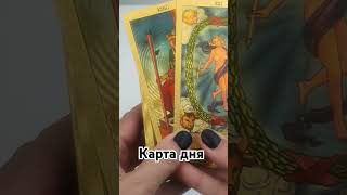 таро гаданиеонлайн tarot гадание fortune таролог магия [upl. by Jazmin]