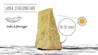 Parmigiano Reggiano Academy  Tutorial Parte 2 [upl. by Vashtia]