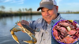 Louisiana Blue Crab Catch amp Cook Boiled Crabs amp Crawfish [upl. by Leksehc493]