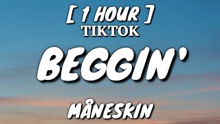 Måneskin  Beggin Lyrics 1 Hour Loop TikTok Song [upl. by Letniuq]