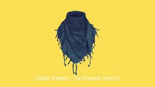 Fadel Shaker  Ya Ghayeb lofi mix [upl. by Perrin]