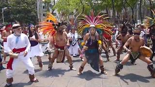 DANZA AZTECA ITZCUINTLI [upl. by Vocaay]