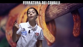 LA FERRATURA DEI CAVALLI  Silvia presenta lequitazione nr 10 [upl. by Notsehc]