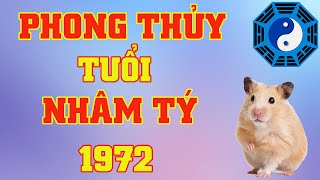 Phong Thủy Tuổi Nhâm Tý 1972 [upl. by Neumeyer673]