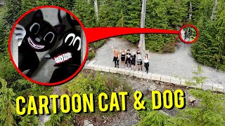 DRONE CATCHES CARTOON CAT AND CARTOON DOG IN THE MOUNTAINS WE FOUND THEM [upl. by Radley410]