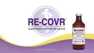 RECOVR® Tripelennamine Hydrochloride Injection [upl. by Aneen]