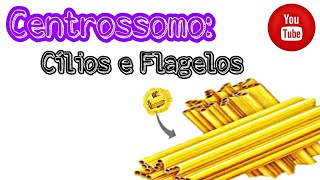 CENTROSSOMO Cílios e flagelos [upl. by Aseeram]