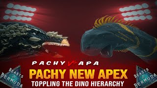 PACHY vs APA  Toppling the Dino Hierarchy  Beasts of Bermuda [upl. by Alliber]